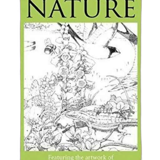 book, cover, detailed, black-and-white, illustration, nature, featuring, artwork transparent PNG cut-out