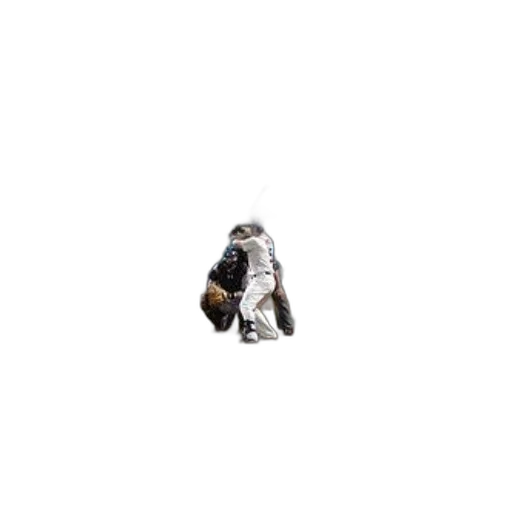 jacket, robot, staff, creature transparent PNG cut-out