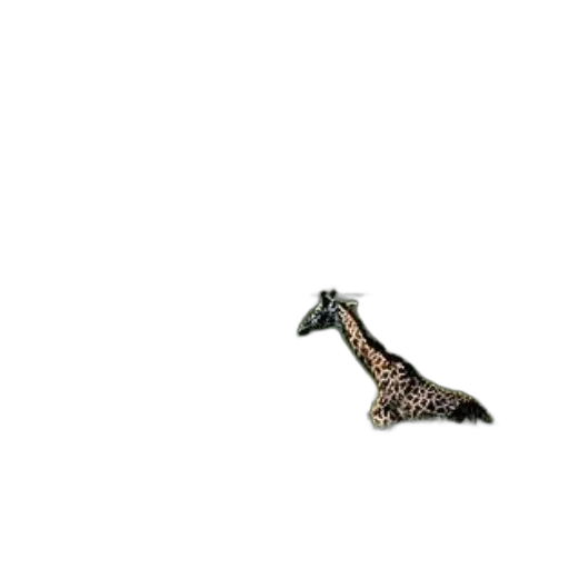 animal, dragon, creature, shoes, pixel art, concept art, 3d render, photorealistic transparent PNG cut-out