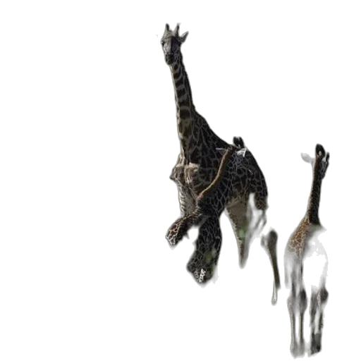 animal, creature, dragon, staff, 3d render, concept art, photorealistic, fantasy art transparent PNG cut-out