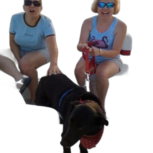 staff, creature, animal, two, women, blue, shirts, sunglasses transparent PNG cut-out