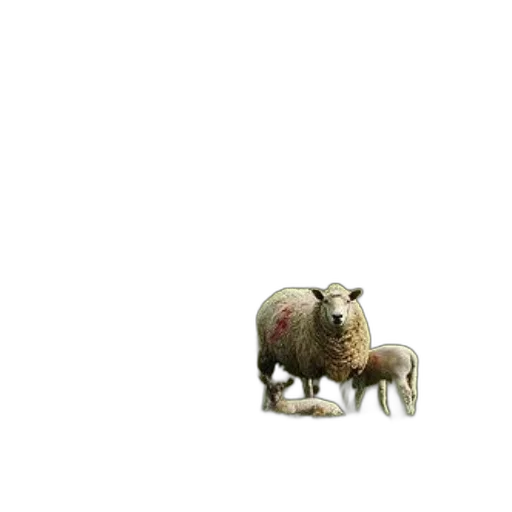 animal, creature, furniture, food, 3d render, pixel art, photorealistic, concept art transparent PNG cut-out