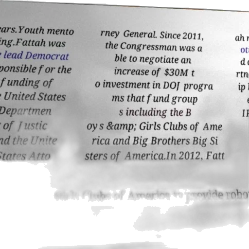 poster, text, about, fattah, role, youth, mentoring, funding transparent PNG cut-out