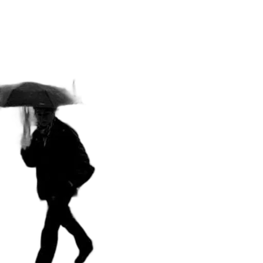 umbrella, jacket, hat, staff, photorealistic, concept art, 3d render, rain transparent PNG cut-out