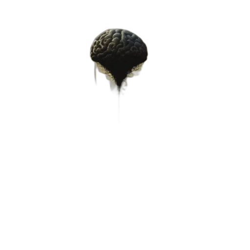 hair, hat, crown, umbrella, photorealistic, 3d render, pixel art, concept art transparent PNG cut-out