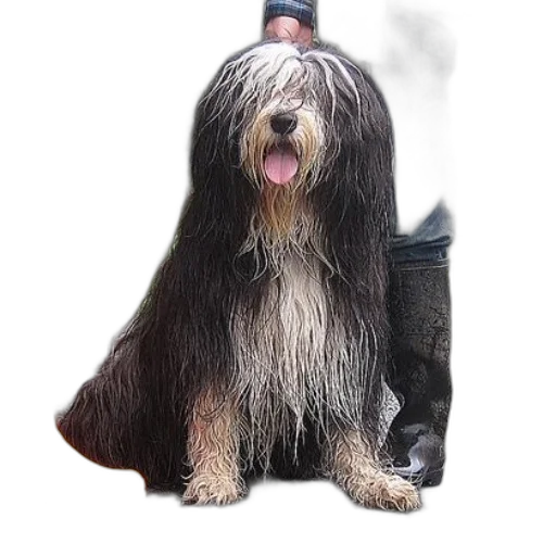 hair, animal, staff, creature, photorealistic, concept art, 3d render, watercolor transparent PNG cut-out