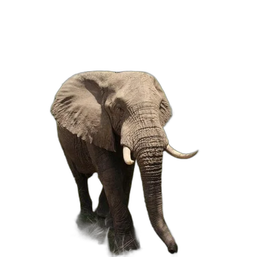 animal, creature, staff, weapon, concept art, 3d render, photorealistic, pixel art transparent PNG cut-out