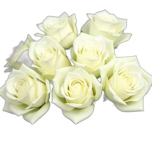 flower, jewelry, crown, 3d render transparent PNG cut-out