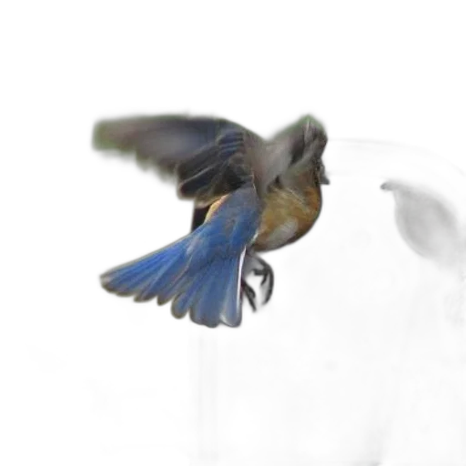 animal, creature, face, dragon, photorealistic, 3d render, blue, bird transparent PNG cut-out