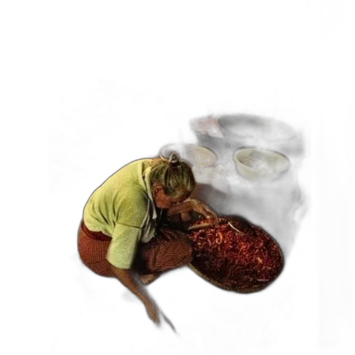 food, creature, animal, shoes, concept art, photorealistic, 3d render, oil painting transparent PNG cut-out