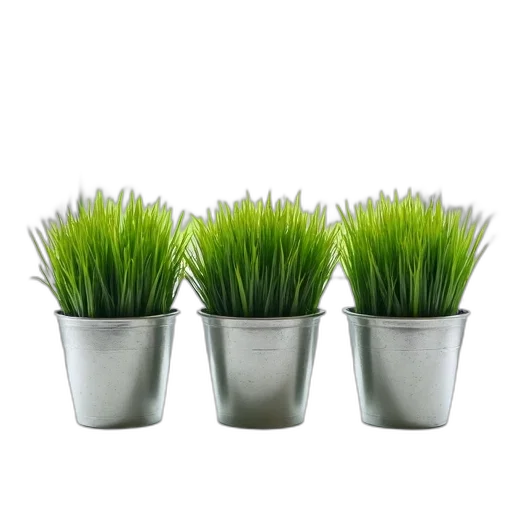 crown, hair, photorealistic, 3d render, green, three, silver, pots transparent PNG cut-out