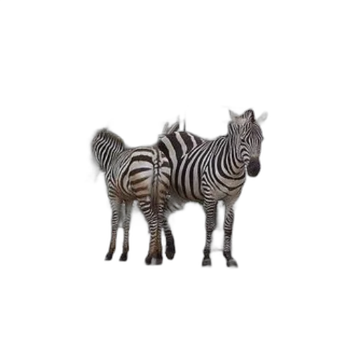 animal, creature, furniture, dragon, 3d render, concept art, photorealistic, pixel art transparent PNG cut-out