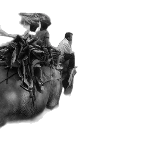 dragon, creature, animal, crown, photorealistic, concept art, 3d render, fantasy art transparent PNG cut-out
