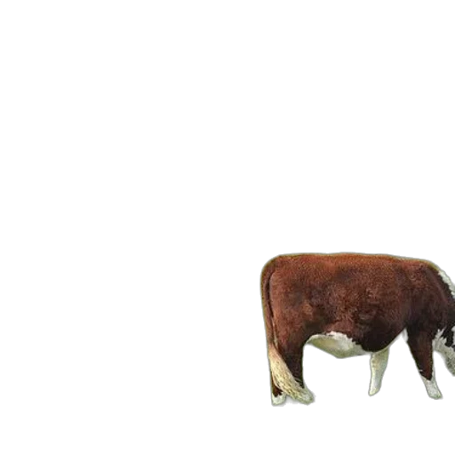 animal, creature, food, furniture, 3d render, photorealistic, concept art, pixel art transparent PNG cut-out
