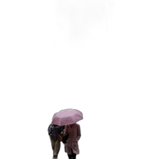 umbrella, hat, staff, jacket, 3d render, concept art, photorealistic, pixel art transparent PNG cut-out