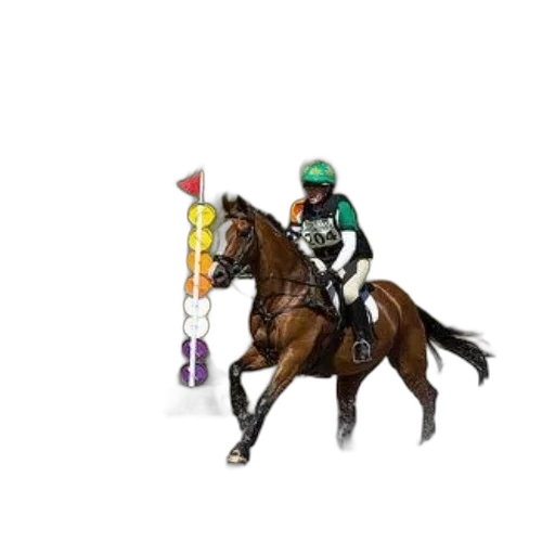 rider, green, helmet, white, shirt, navigates, horse, through transparent PNG cut-out
