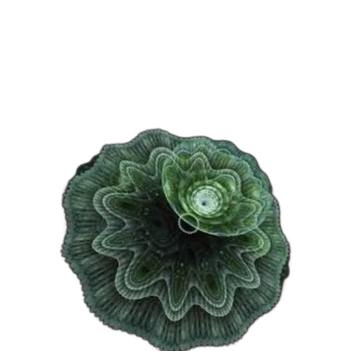 crown, flower, hat, jewelry, photorealistic, 3d render, green, dark transparent PNG cut-out