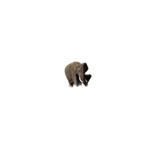 animal, creature, hat, hair, pixel art, 3d render, concept art, photorealistic transparent PNG cut-out