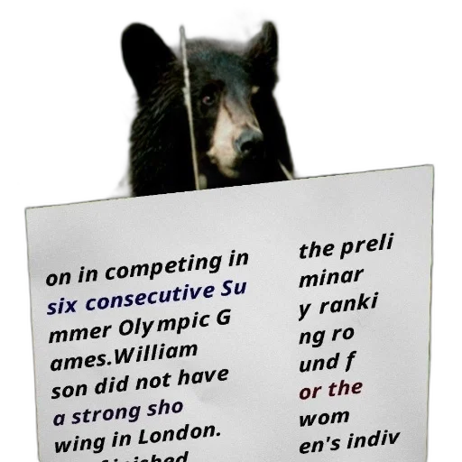 black, bear, shown, background, text, overlay, about, person transparent PNG cut-out
