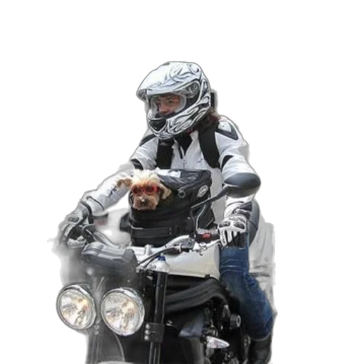 jacket, animal, robot, weapon transparent PNG cut-out