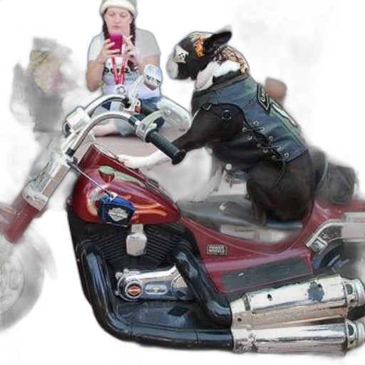 photorealistic, 3d render, concept art, dog, dressed, leather, sits, red transparent PNG cut-out