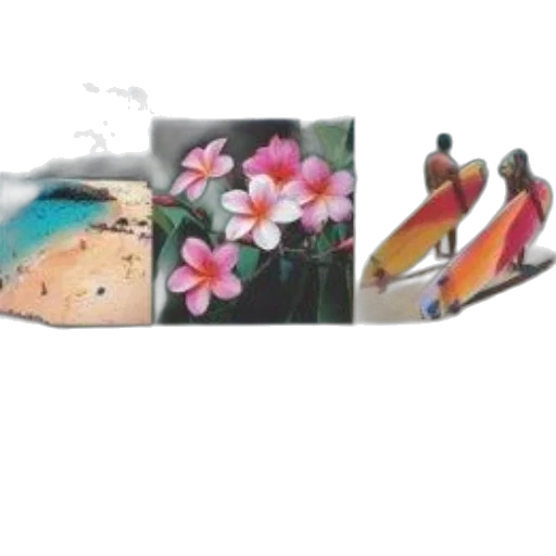 shoes, flower, jewelry, photorealistic, vaporwave, oil painting, colorful, pastel transparent PNG cut-out