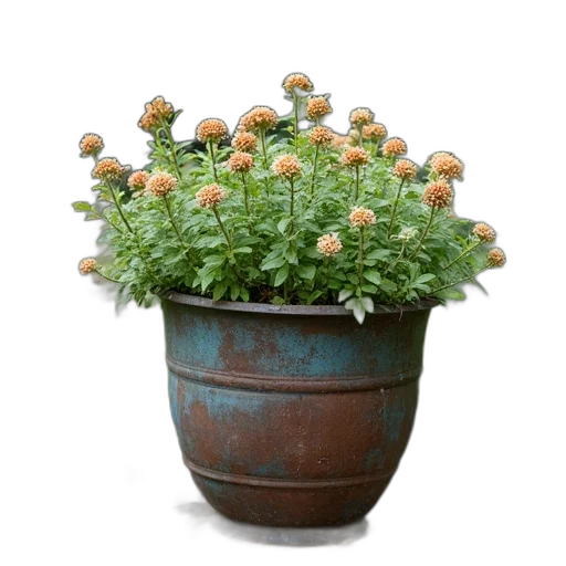 crown, flower, staff, photorealistic, 3d render, old, metal, planter transparent PNG cut-out