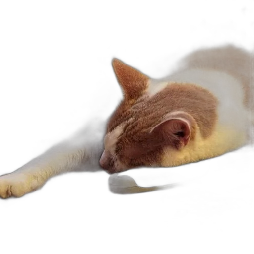 animal, staff, creature, hair, photorealistic, 3d render, cat, sleeping transparent PNG cut-out