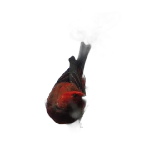 animal, staff, mask, creature, 3d render, photorealistic, concept art, oil painting transparent PNG cut-out