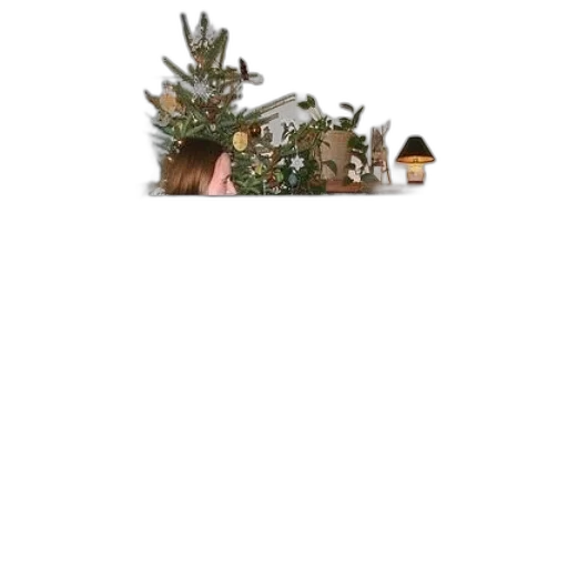 tree, crown, hat, mask transparent PNG cut-out