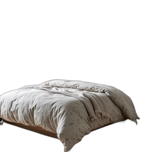 furniture, crown, hat, umbrella, 3d render, photorealistic, earth tones, bedroom transparent PNG cut-out