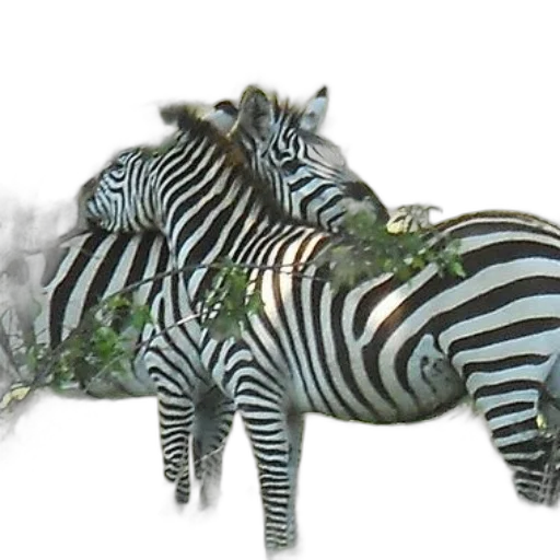 animal, creature, jewelry, furniture, 3d render, photorealistic, concept art, fantasy art transparent PNG cut-out