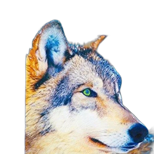 animal, face, creature, mask, photorealistic, pixel art, 3d render, watercolor transparent PNG cut-out