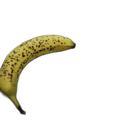 food, animal, staff, weapon, photorealistic, 3d render, concept art, banana transparent PNG cut-out