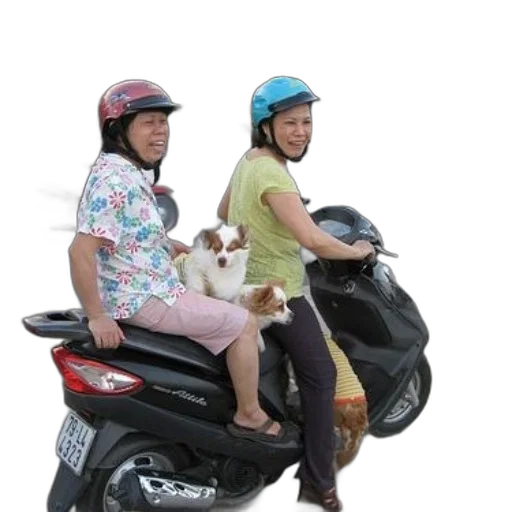 two, women, scooter, small, dogs transparent PNG cut-out