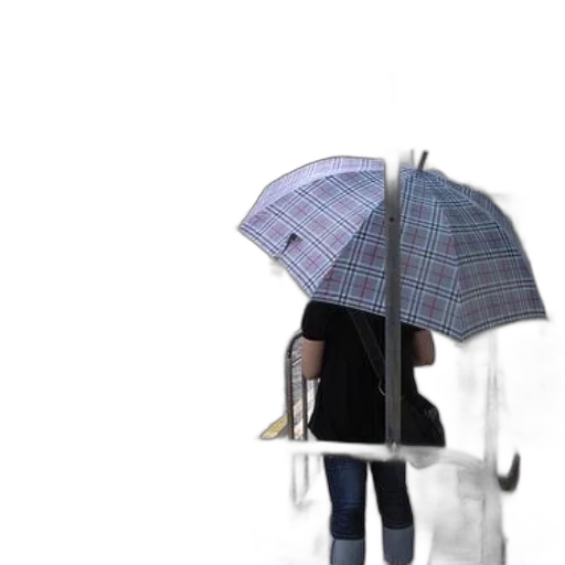 umbrella, jacket, staff, hat, 3d render, photorealistic, concept art, pixel art transparent PNG cut-out