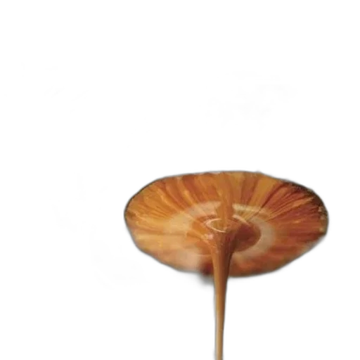 flower, umbrella, staff, hat, 3d render, photorealistic, concept art, oil painting transparent PNG cut-out