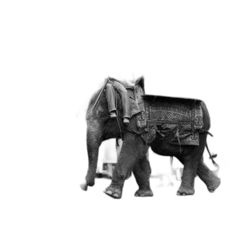 animal, furniture, car, creature, pencil sketch, 3d render, photorealistic, concept art transparent PNG cut-out