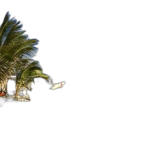umbrella, weapon, tree, shoes, 3d render, photorealistic, concept art, beach transparent PNG cut-out