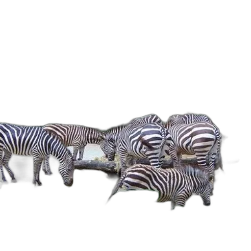 animal, jewelry, furniture, staff, 3d render, concept art, photorealistic, group transparent PNG cut-out