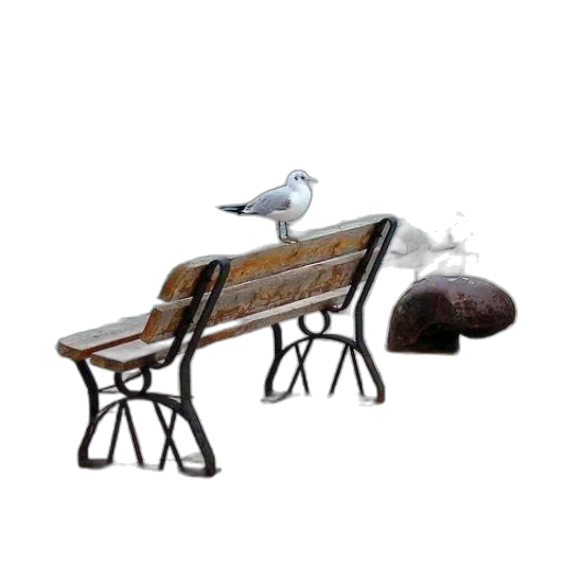 furniture, umbrella, shoes, animal transparent PNG cut-out