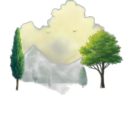 tree, crown, umbrella, jacket transparent PNG cut-out
