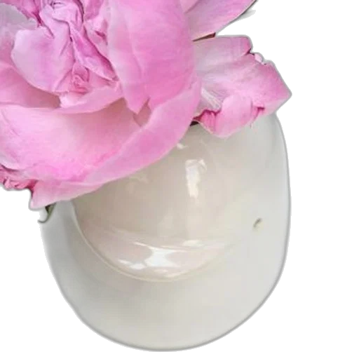 crown, jewelry, flower, hat, 3d render, photorealistic, close-up, pink transparent PNG cut-out