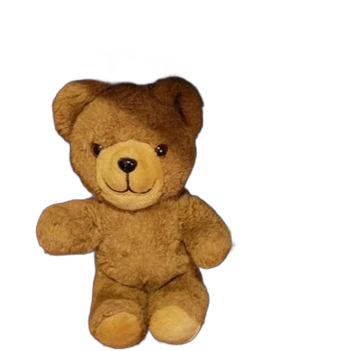staff, 3d render, photorealistic, teddy, bear, sits, bookshelf, books transparent PNG cut-out