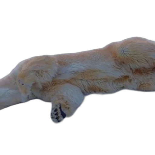 animal, creature, staff, dragon, 3d render, photorealistic, concept art, polar transparent PNG cut-out