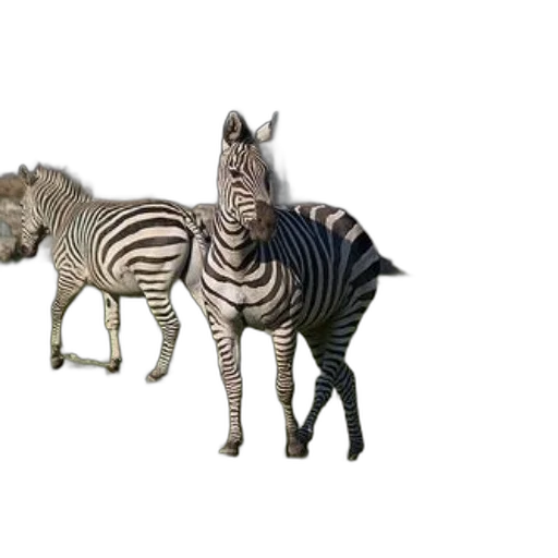 animal, creature, furniture, jewelry, 3d render, photorealistic, concept art, fantasy art transparent PNG cut-out