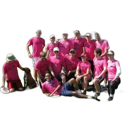 staff, group, people, wearing, pink, shirts, pose, photo transparent PNG cut-out
