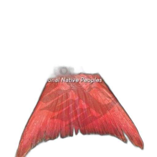 hair, hat, umbrella, crown, photorealistic, 3d render, red, feast transparent PNG cut-out