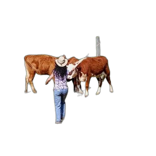 animal, hat, food, pixel art, concept art, woman, cowboy, herding transparent PNG cut-out