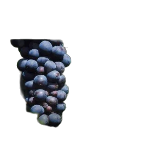 food, crown, bottle, jewelry, 3d render, photorealistic, oil painting, pixel art transparent PNG cut-out